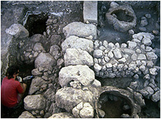 Fig. 4. Domestic remains adjacent to the casemate wall