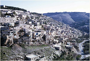 Fig. 1. The village of Silwan, from northwest